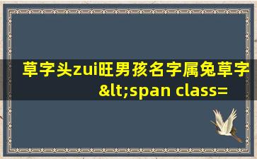zui
